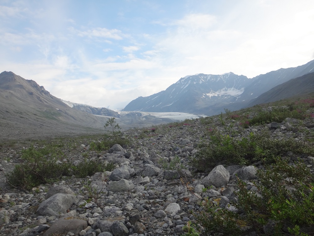 Gulkana Glacier Area Fairbanks Area Hiking Club